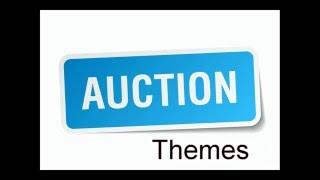 110 Auction Theme Ideas