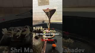 Shri Markandey Mahadev Mandir Gaya Bihar #bihar #travel #bodhgaya #harharmahadev #sawanspecial