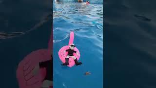 Esto es vida  Nadando en la Piscina  #piscina #agua #vacaciones #salvavidas #clavados #natación