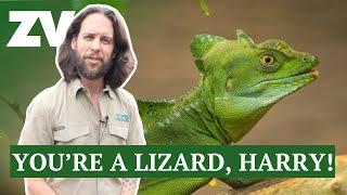 A personal tour of Melbourne Zoo's Reptile House with keeper Boyd