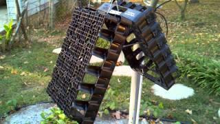 Easy bird trap / squirrel trap easy..