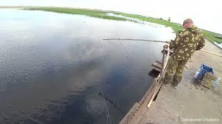 Приехал на старую переправу. Закинул блесну и охренел. Рыбалка в Сибири.