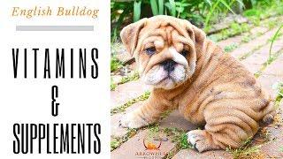 Vitamins and Supplements for English bulldog