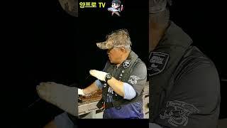 갈치챔질 타이밍 정리