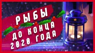 РЫБЫ - До конца 2020 года | Таро расклад | Таро онлайн | Таро гадание | Расклад | ноябрь | декабрь