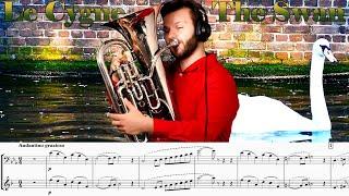 The Swan - Saint-Saëns. EUPHONIUM SOLO with PIANO. Amazing TONE COLOR!!!