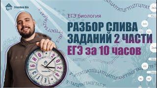 Разбор СЛИВА ЕГЭ ПО БИОЛОГИИ за 10 часов |ЕГЭ БИОЛОГИЯ|Freedom|