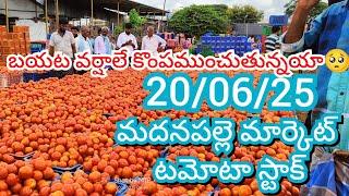 20-06-25 Madanapalle Tomato Market price Today || Today Tomato Market Rate in Madanapalle #today