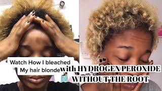 How to BLEACH hair with HYDROGEN PEROXIDE at Home