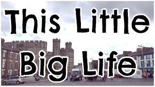 This Little Big Life