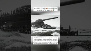 Schwerer Gustav  The German Monster of Artillery 🪖