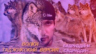 Бадриддини Садрридин -Волки Таджикский версия | Badriddini Sadriddin - Bolki Tajikskiy Versiy(2022)