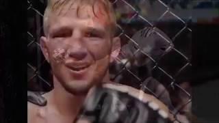 TJ DILLASHAW vs HENRY CEJUDO UFC FIGHTNIGHT143 HIGHLIGT