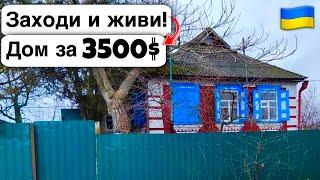  Заходи и живи! Дом в селе за 3500$ Продажа недвижимости за копейки! Всё есть Уютное тихое село!