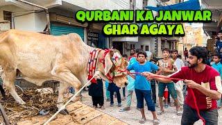 ALHAMDULILLAH APNI QURBANI KA JANWAR LE LIA  | MANDI VLOG | BAKRA EID | MISHKAT KHAN