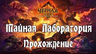 Hearthstone - Чёрная Гора - Тайная Лаборатория [Прохождение]