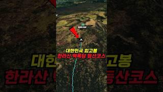 한라산 백록담 정복! 성판악~관음사 등산코스 완벽가이드!