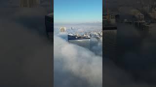 Батуми накрыло туманом 09.03.25️