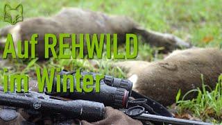 Jagd auf Rehe im Winter - Rehwild Ansprechen mit Wärmebild und Nachtsicht