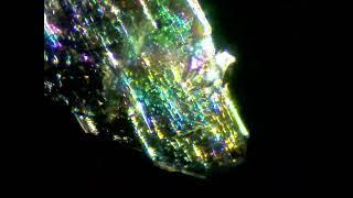 Polarized Light Microscopy