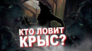 ЛУЧШИЙ ОХОТНИК НА КРЫС И МЫШЕЙ | Такая История