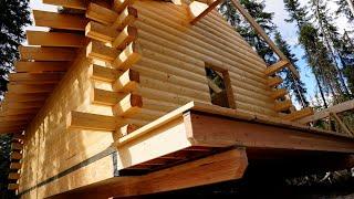 BUILDING An Alaskan Log Cabin (The Porch) - Wk 7