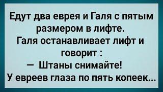 Как Галя с Евреями в Лифте Ехала! Сборник Свежих Анекдотов! Юмор!