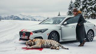 Watch How We Saved a White Tiger Cub After a Terrifying Car Accident