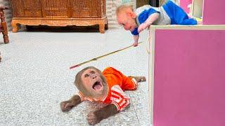 The Long Hidden Truth: CUTIS  & Baby Monkey Were Never Close