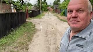 Cheerfulness of spirit, grace and plasticity! In a past life she was a postman! Zhuravlevs' farm....