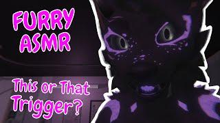 FURRY ASMR | This? Or that?