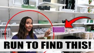 IKEA's NEW Hidden Gems for RV Storage You’re Missing!