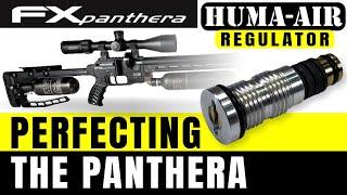 Regulator Showdown FX PANTHERA | AMP vs. HUMA - Unveiling the Champion!