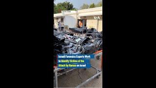 VOA reports from Tel Aviv, where experts are identifying victims of the attack by Hamas on Israel.