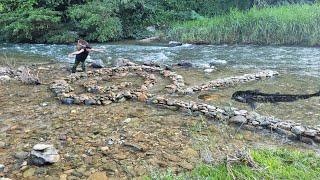 The young man's skill of stacking rocks to create traps to catch fish for sale