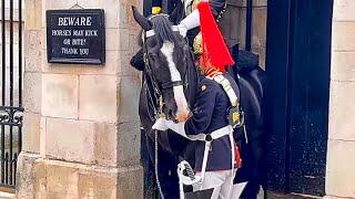 Unbelievable: Wait Until You See How This Horse Reacts To His Favorite Guard!