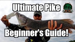 Beginner's Guide to Pike Fishing Success | How to Locate Fish | Top 3 Lures & Basic Rigs