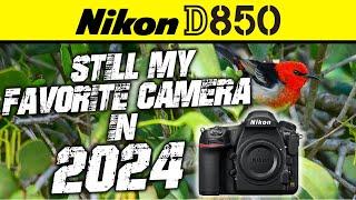 Nikon D850 | Still My Favorite Camera in 2024!