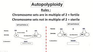 Chapter 7 (Video 3) -  Polyploidy / Euploidy