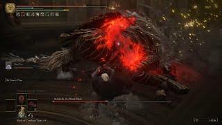 God King Darius Vs Maliketh, The Black Blade