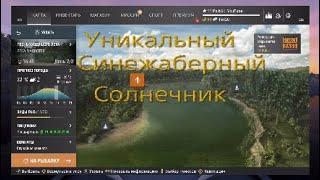 Уникальные рыбы Fishing Planet. Река Мадвотер. Уникальный Синежаберный Солнечник