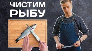 Cleaning the fish. How to clean fish properly. How to cut fish into fillets. How to choose a fish