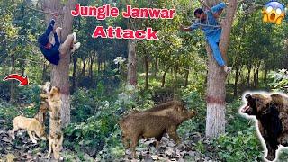 Jungle Mian Bhot Bury Phans Gaye