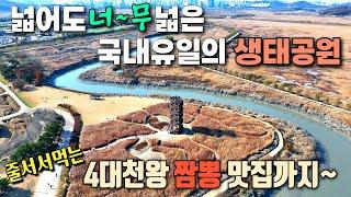 당일여행에 딱!  국내유일의 생태공원과 4대천왕 짬뽕집  / 시흥 진짬뽕 / 시흥 갯골생태공원  / 물왕호수맛집 / 캠핑카여행 / 경기도차박  / 당일치기 여행 / 당일 나들이