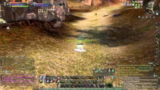 Aion Stylish 4.5 Chanter PvP