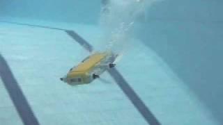 Dive! Dive! Dive!