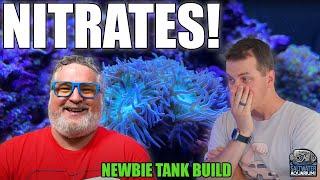 Managing NITRATE Levels In You Saltwater Aquarium - Newbie Tank Build