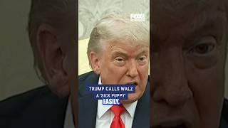 Trump throws offbeat jab at Gov. Tim Walz #shorts #trump #politics