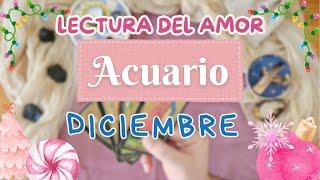 #Acuario #Amor Diciembre 2024  A flor de piel ️  ️Brujo Gallego️