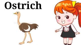 Learning domestic animals names through pictures#animals#animalsforkid @ eiva education home